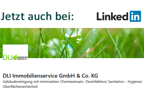 DLI bei LinkedIn 2